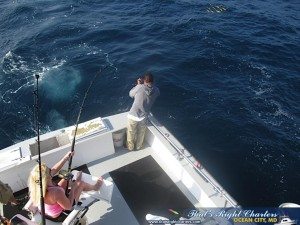 IMG_0597