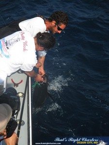 IMG_0603