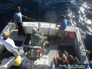 IMG_0623
