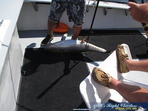IMG_0653