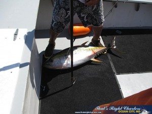IMG_0654
