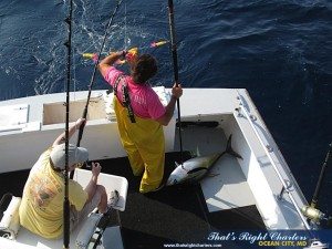 IMG_0657