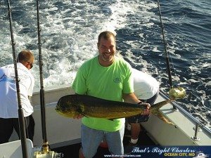 IMG_0701