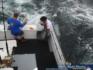 IMG_0715