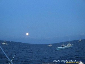 IMG_0733