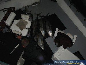 IMG_0741