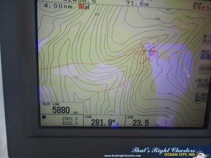 IMG_0775