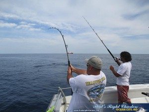 IMG_0798