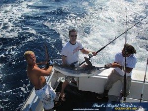 IMG_0871