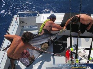 IMG_0879