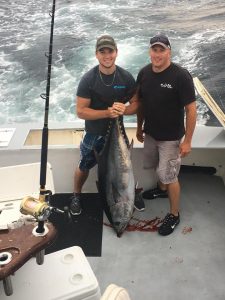 OCMD bluefin